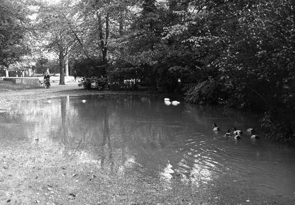 502691 Gezicht op de vijver in het Julianapark te Utrecht.